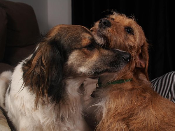 Wie man sein Spiel verbessert und ihre langfristigen Auswirkungen